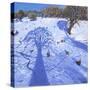 Chatsworth, Winter Tree Shadows, 2013-Andrew Macara-Stretched Canvas