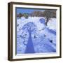 Chatsworth, Winter Tree Shadows, 2013-Andrew Macara-Framed Giclee Print