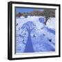 Chatsworth, Winter Tree Shadows, 2013-Andrew Macara-Framed Giclee Print