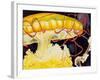 Chattanooga Jellyfish-Jennifer Redstreake Geary-Framed Art Print
