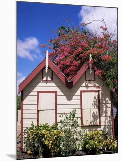 Chattel House, Barbados, West Indies, Caribbean, Central America-Hans Peter Merten-Mounted Photographic Print
