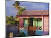 Chattel House, St. Kitts, Caribbean, West Indies-John Miller-Mounted Photographic Print