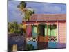 Chattel House, St. Kitts, Caribbean, West Indies-John Miller-Mounted Photographic Print