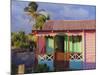 Chattel House, St. Kitts, Caribbean, West Indies-John Miller-Mounted Photographic Print