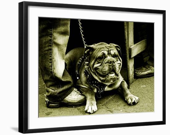 Chatteropia-Tim Kahane-Framed Photographic Print