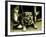 Chatteropia-Tim Kahane-Framed Photographic Print