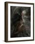 Chatterspace-Lynne Davies-Framed Photographic Print