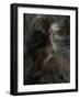 Chatterspace-Lynne Davies-Framed Photographic Print