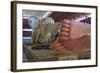 Chauk Htat Kyi Reclining Buddha, Yangon (Rangoon), Myanmar (Burma), Asia-Richard Cummins-Framed Photographic Print