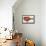 Chaunax Pictus Red Angler Fish-null-Framed Stretched Canvas displayed on a wall