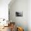 Chautauqua House-null-Mounted Premium Photographic Print displayed on a wall