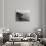 Chautauqua House-null-Photographic Print displayed on a wall