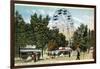 Chautauqua Lake, New York - Celoron Park; Ferris Wheel View-Lantern Press-Framed Art Print