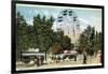 Chautauqua Lake, New York - Celoron Park; Ferris Wheel View-Lantern Press-Framed Art Print