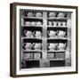 Cheap Chinaware Saucers, Cups, Teapots, Etc Standing on Racks in Pottery of the Hall China Co-Walker Evans-Framed Photographic Print