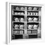 Cheap Chinaware Saucers, Cups, Teapots, Etc Standing on Racks in Pottery of the Hall China Co-Walker Evans-Framed Photographic Print