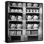 Cheap Chinaware Saucers, Cups, Teapots, Etc Standing on Racks in Pottery of the Hall China Co-Walker Evans-Framed Stretched Canvas