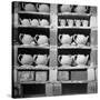Cheap Chinaware Saucers, Cups, Teapots, Etc Standing on Racks in Pottery of the Hall China Co-Walker Evans-Stretched Canvas