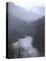 Cheat River Flowing Through Alleghenies on a Misty Day-John Dominis-Stretched Canvas