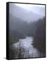 Cheat River Flowing Through Alleghenies on a Misty Day-John Dominis-Framed Stretched Canvas