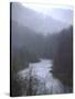 Cheat River Flowing Through Alleghenies on a Misty Day-John Dominis-Stretched Canvas