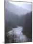 Cheat River Flowing Through Alleghenies on a Misty Day-John Dominis-Mounted Photographic Print
