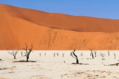 Sossusvlei Area in Namibia-Checco-Photographic Print