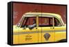 Checker Cab, 1983-Max Ferguson-Framed Stretched Canvas