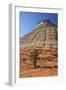 Checkerboard Mesa, Formed of Navajo Sandstone, Zion National Park, Utah, United States of America-Peter Barritt-Framed Photographic Print