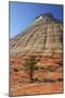 Checkerboard Mesa, Formed of Navajo Sandstone, Zion National Park, Utah, United States of America-Peter Barritt-Mounted Photographic Print