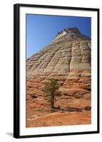 Checkerboard Mesa, Formed of Navajo Sandstone, Zion National Park, Utah, United States of America-Peter Barritt-Framed Photographic Print