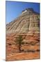 Checkerboard Mesa, Formed of Navajo Sandstone, Zion National Park, Utah, United States of America-Peter Barritt-Mounted Photographic Print