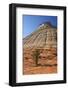 Checkerboard Mesa, Formed of Navajo Sandstone, Zion National Park, Utah, United States of America-Peter Barritt-Framed Photographic Print