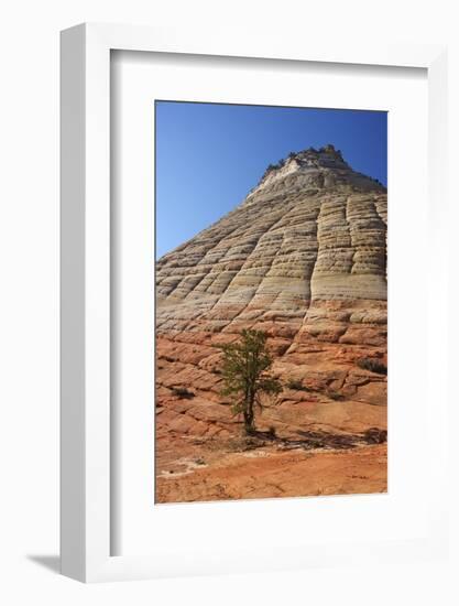 Checkerboard Mesa, Formed of Navajo Sandstone, Zion National Park, Utah, United States of America-Peter Barritt-Framed Photographic Print