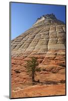 Checkerboard Mesa, Formed of Navajo Sandstone, Zion National Park, Utah, United States of America-Peter Barritt-Mounted Photographic Print