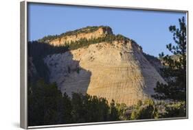 Checkerboard Mesa, Zion National Park, Utah, United States of America, North America-Gary-Framed Photographic Print