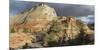 Checkerboard Mesa, Zion National Park, Utah, Usa-Rainer Mirau-Mounted Photographic Print