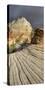 Checkerboard Mesa, Zion National Park, Utah, Usa-Rainer Mirau-Stretched Canvas