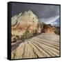 Checkerboard Mesa, Zion National Park, Utah, Usa-Rainer Mirau-Framed Stretched Canvas
