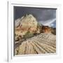 Checkerboard Mesa, Zion National Park, Utah, Usa-Rainer Mirau-Framed Photographic Print
