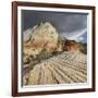 Checkerboard Mesa, Zion National Park, Utah, Usa-Rainer Mirau-Framed Photographic Print