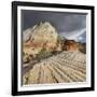 Checkerboard Mesa, Zion National Park, Utah, Usa-Rainer Mirau-Framed Photographic Print