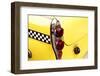 Checkered Cab-Jonathan Feinstein-Framed Photographic Print