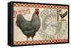 Checkered Chicken 3-null-Framed Stretched Canvas