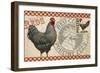 Checkered Chickens - Image 3-The Saturday Evening Post-Framed Giclee Print