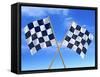 Checkered Flags-Matthias Kulka-Framed Stretched Canvas