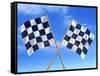 Checkered Flags-Matthias Kulka-Framed Stretched Canvas