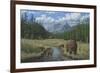 Checking Things Out - Grizzlies-Robert Wavra-Framed Giclee Print