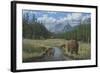 Checking Things Out - Grizzlies-Robert Wavra-Framed Giclee Print