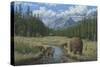 Checking Things Out - Grizzlies-Robert Wavra-Stretched Canvas